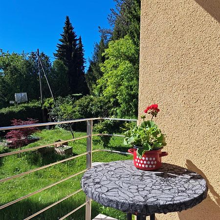 The John Rand Suite Samobor Dış mekan fotoğraf