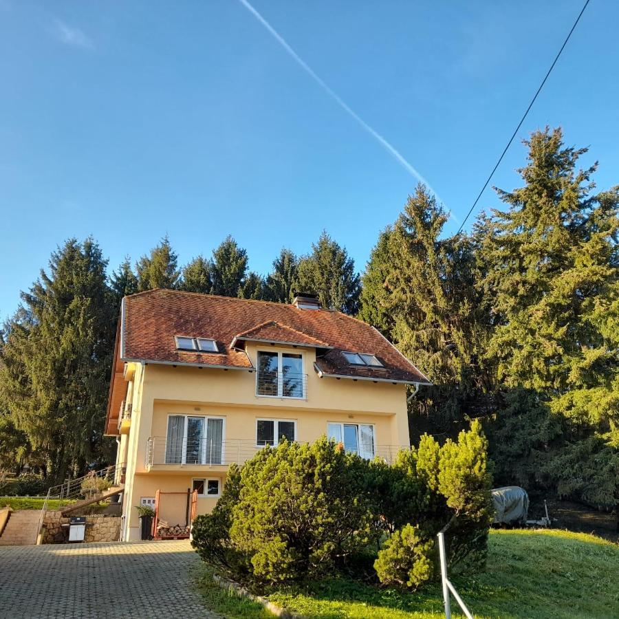 The John Rand Suite Samobor Dış mekan fotoğraf
